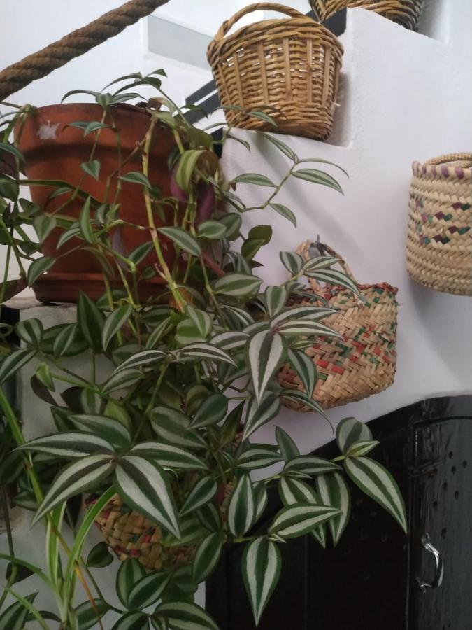 Gerena Casa Museo Quintinヴィラ エクステリア 写真